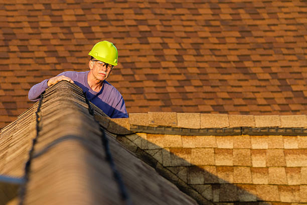 Best Storm Damage Roof Repair  in Wilmore, KY